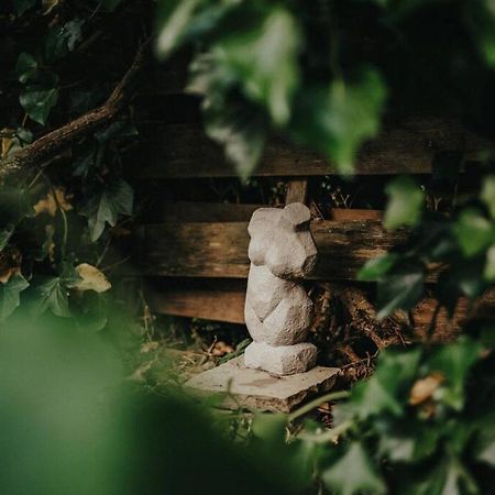 Adenauer Zwoelf - Das 5 Sterne Ferienhaus Mit Sauna Und Garten Am Eifelsteig Kerpen  Bagian luar foto